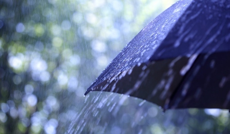 Prêt de parapluie